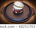 Isolated meat hamburger 48251703