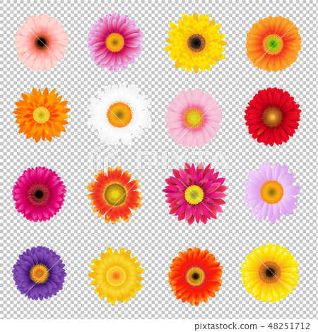 Big Colorful Gerbers Set Transparent Background Big Colorful Gerbers Set Transparent Background 48251712