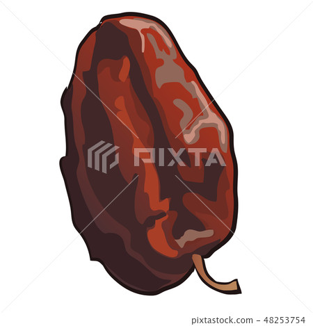 Dried fruit isolated on white background. Vector cartoon close-up illustration. 48253754