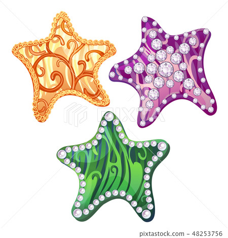 Set of decorations and decorative elements in the shape of starfish with abstract ornament and 48253756