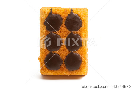 chocolate sponge cake isolated 48254680