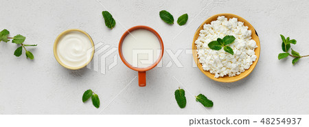 Homemade milk products concept Homemade milk products concept 48254937