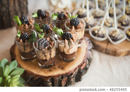 Chocolate dessert topped with cream and blackberry Chocolate dessert topped with cream and blackberry 48255405