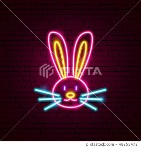 Rabbit Animal Neon Sign 48255472