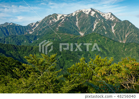 Echigo Komagatake dake early summer seen from the vicinity of the branch pass Echigo Komagatake dake early summer seen from the vicinity of the branch pass 48256040