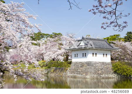Odawara Castle Moori, Majaya bending wheel 48256089