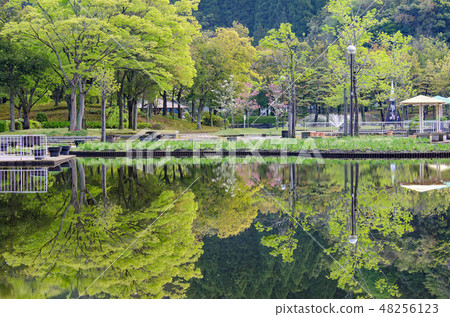 Ayame池塘公園 48256123