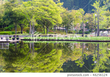Ayame池塘公園 48256124