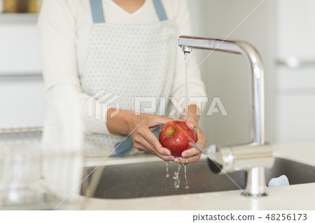 家庭主婦蘋果洗 家庭主婦蘋果洗 48256173