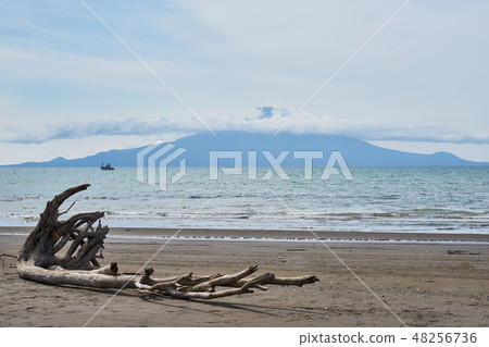 北海道的日本海和利尻富士山 48256736
