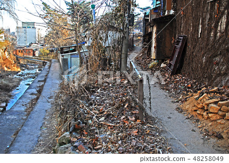 Road, two-way street, walk 48258049