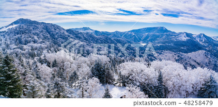 Landscape story (Winter in Shiga Kogen) Landscape story (Winter in Shiga Kogen) 48258479