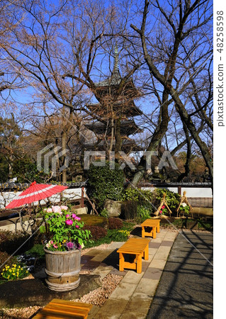 February Ueno 123 Snow Botanen and the former Kanno-ji Temple Five-storey, Ueno Toshogu Shrine February Ueno 123 Snow Botanen and the former Kanno-ji Temple Five-storey, Ueno Toshogu Shrine 48258598