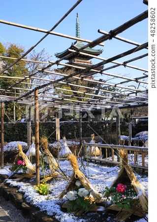 February 1111 Uotonen snow and old Kanonaga-ji Temple pagoda · Ueno Toshogu Shrine February 1111 Uotonen snow and old Kanonaga-ji Temple pagoda · Ueno Toshogu Shrine 48258602