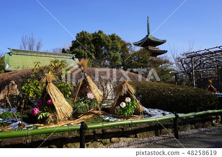 2月上野102 Snow Botan Garden和Old Kanonji Temple Fifth Pagoda·上野東照宮 48258619