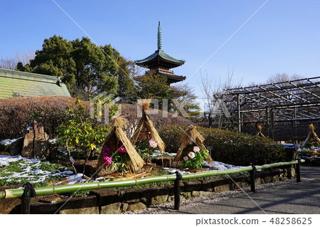 2月上野97 Snow Botan Ensu和Old Kanonji 5層塔·上野東照宮 48258625