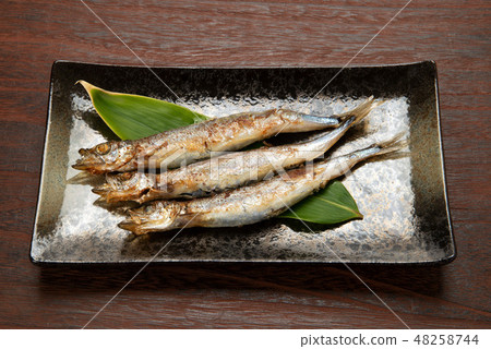  加州shishamo 48258744