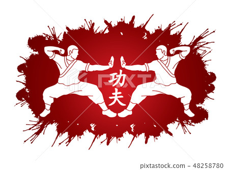 Kung fu action ready to fight graphic vector 48258780