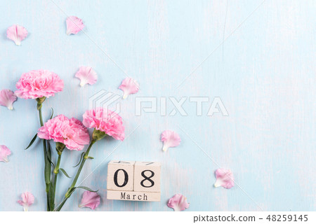 Womans day concept. Pink carnation flower Womans day concept. Pink carnation flower 48259145