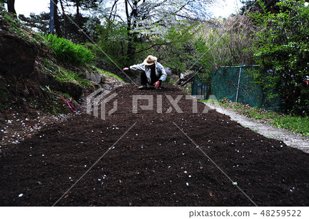 Garden, seeds, sowing 48259522