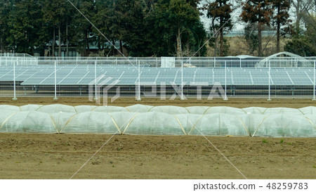 Solar panels and tunnel greenhouses on farmland Solar panels and tunnel greenhouses on farmland 48259783