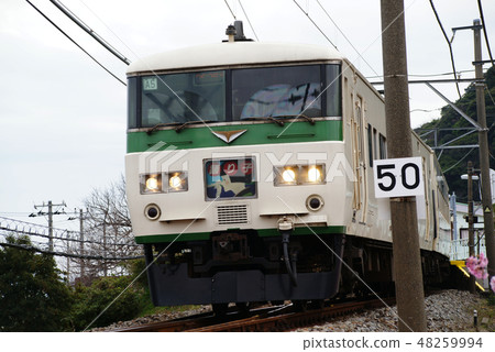 Series 185 "Odoriko" Series 185 "Odoriko" 48259994