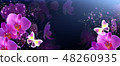 Butterflies with orchids and glowing stars 48260935
