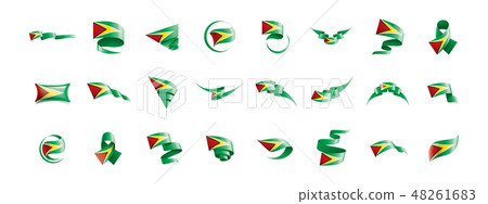 Guyana flag, vector illustration on a white background 48261683