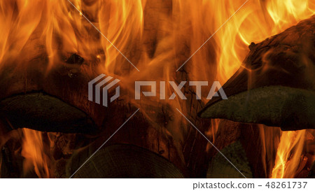 咆哮在窯的木柴特寫鏡頭 48261737