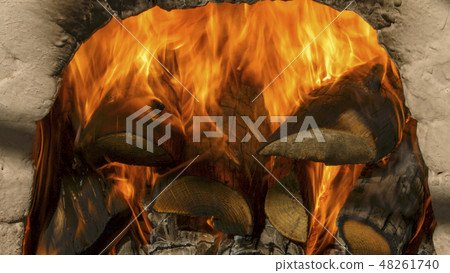 Close-up of firewood roaring in the kiln 48261740