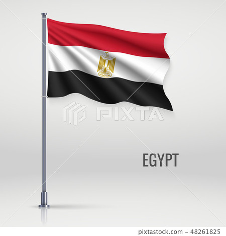 Waving flag on flagpole Waving flag on flagpole 48261825