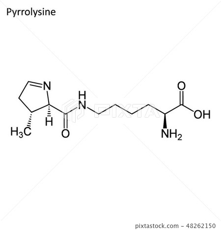 Skeletal formula of Pyrrolysine Skeletal formula of Pyrrolysine 48262150
