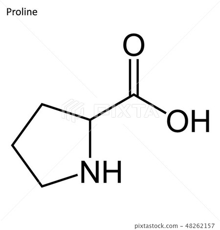 Skeletal formula of Proline 48262157