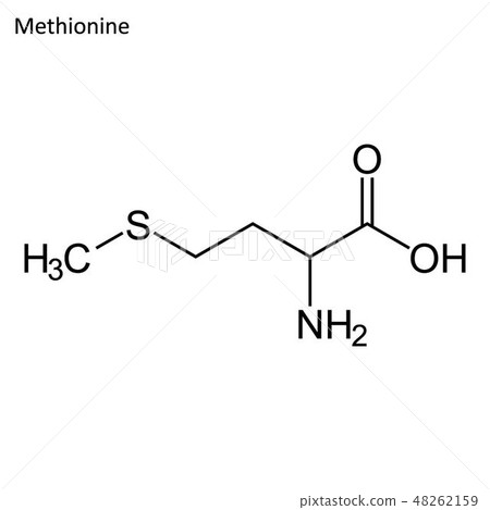 Skeletal formula of Methionine Skeletal formula of Methionine 48262159