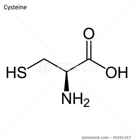 Skeletal formula of Cysteine 48262167