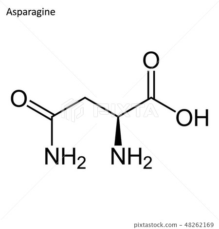 Skeletal formula of Asparagine Skeletal formula of Asparagine 48262169