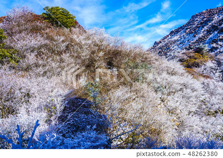Kirisawa (winter scenery of Unzendake and hoarfrost) [Unzen City, Nagasaki Prefecture] 48262380