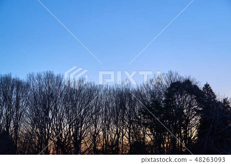 Mahoroba鄉晚上風景02 Mahoroba鄉晚上風景02 48263093