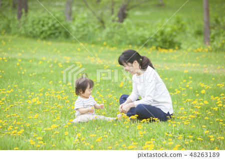 Parent and child playing in Dandelion field 48263189