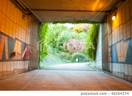 End of Seoul Forest Underground Passage End of Seoul Forest Underground Passage 48264374