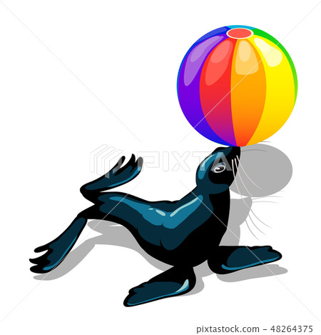 Circus animal sea lion with colorful ball isolated on white background. Vector cartoon close-up Circus animal sea lion with colorful ball isolated on white background. Vector cartoon close-up 48264375