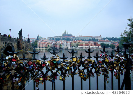 查理大橋和布拉格城堡 48264633