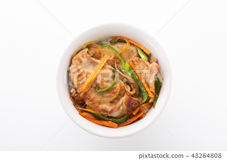 Bowl of pork Bowl of pork 48264808