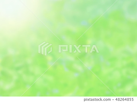 新鮮的綠色和陽光 新鮮的綠色和陽光 48264855