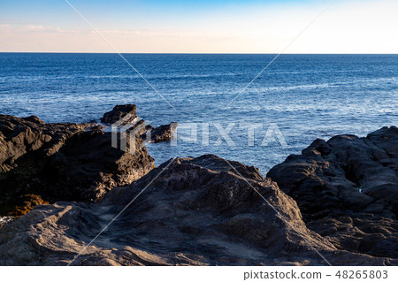 城島 城島 48265803