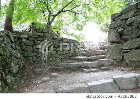 Azuchi castle Azuchi castle 48265868