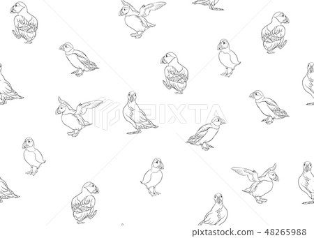Arctic Puffins seamless pattern. 48265988