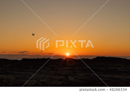 Jogashima的黃昏 Jogashima的黃昏 48266334