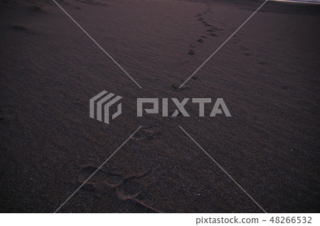 Foot after dawn Foot after dawn 48266532