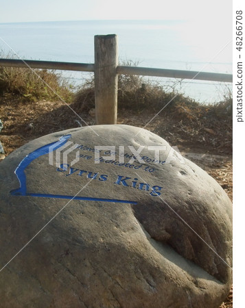 Beach in San Diego 48266708